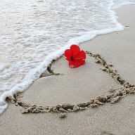 heart33