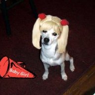 CheerbabyIL