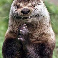 cheer shoes for flyers