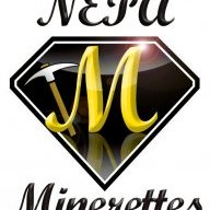 NepaMinerettesCoachTomTom