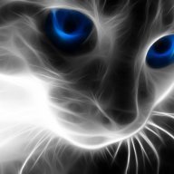 wildsting