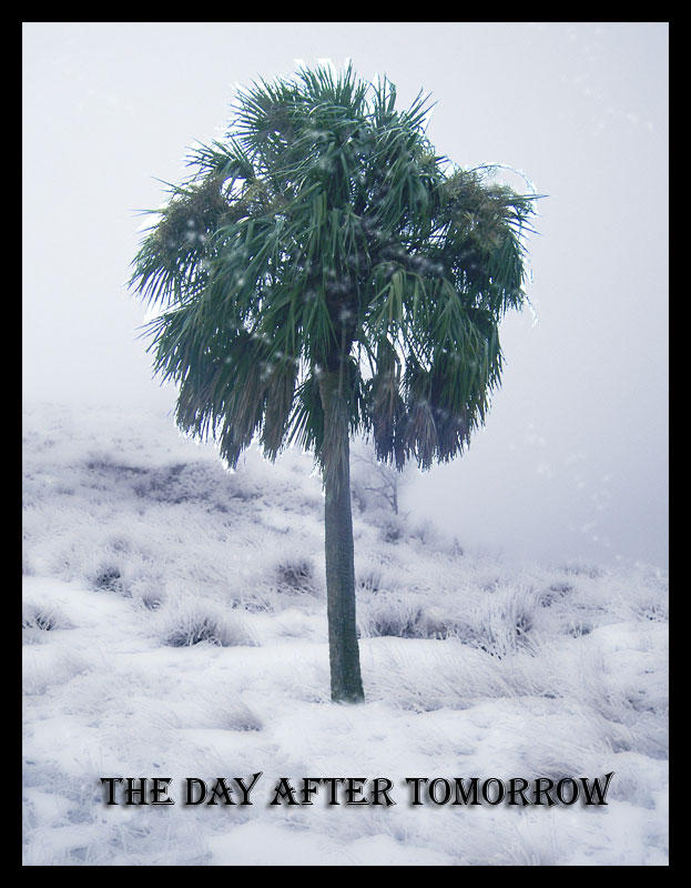 Tha_Day_after_Tomorrow_by_fleurdemai.jpg